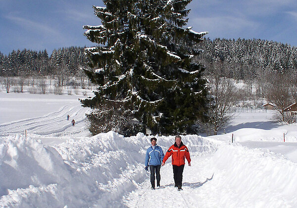 Winterwandern in St. Englmar